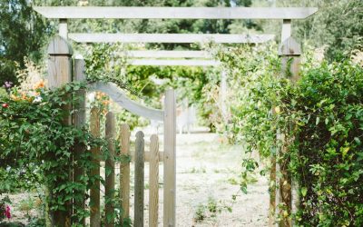 Nachhaltige Gartenarbeit: Mulchen: Wie man Mulchen für eine nachhaltige Gartenpflege einsetzt